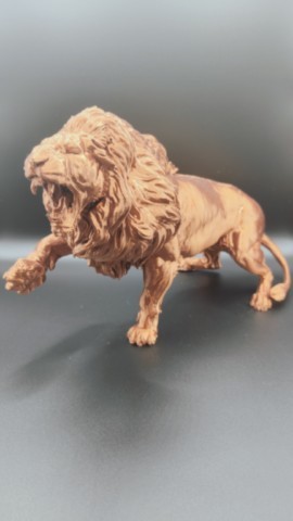 Combat de Lions Combat de Lions