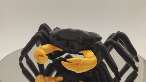Crabe série Black-Gold Crabe série Black-Gold