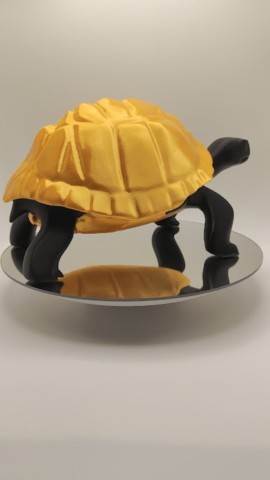 Tortue de terre série Black-Gold Tortue de terre série Black-Gold