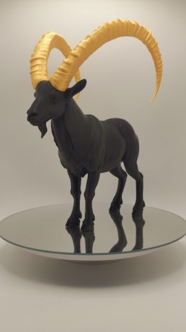 Bouquetin des Alpes série Black-Gold Bouquetin des Alpes série Black-Gold